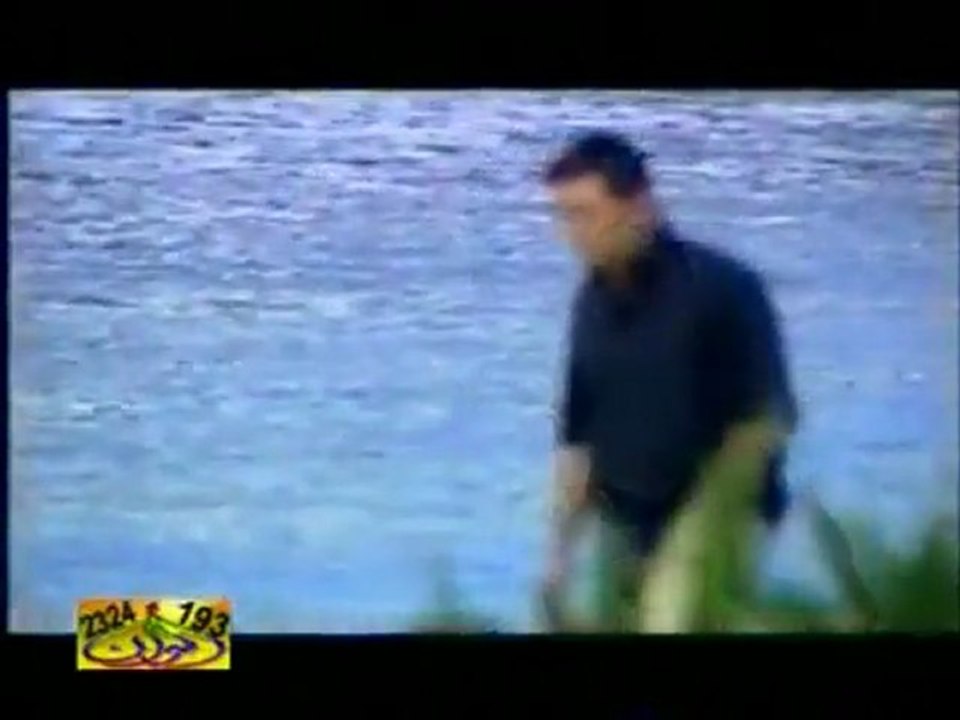 Çu - Dino