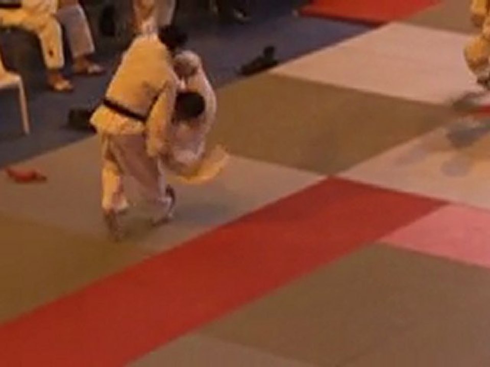 Passage de grades Judo- 08/01/2012