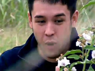 cultivemos nuestros remedios [CAT] Les arrels