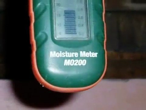 Whatcom County Home Inspection (King of the House Inc) Anobiid Beetles