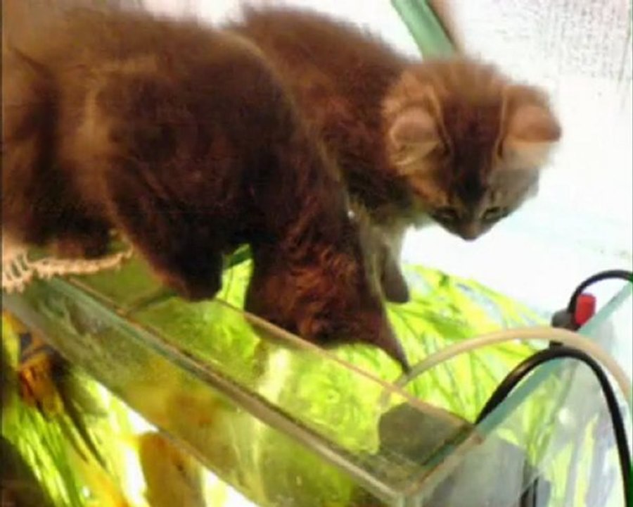 Андрей Иванов. Рыбалка.