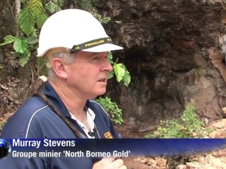 A Bornéo, des mineurs clandestins risquent leur vie pour de l'or