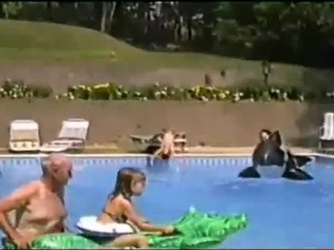 le fils de régis fait un plongeon