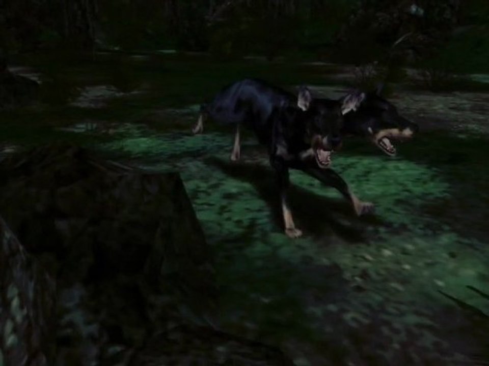 Resident evil : Test intro