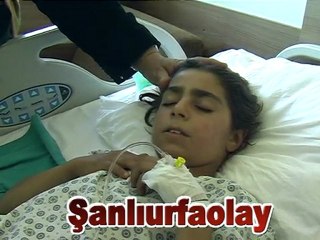 İnsan sağlığı bu kadar mı ucuz?