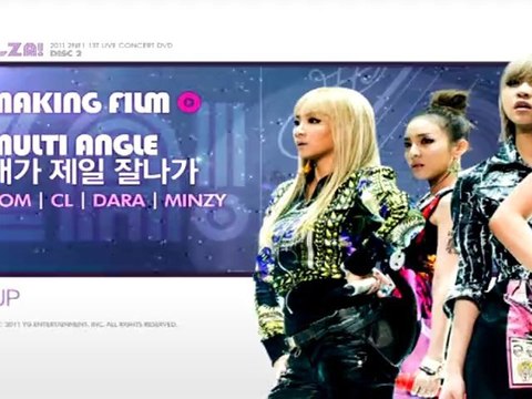 2NE1 1st Live Concert [NOLZA!] - MENU du DVD (HQ)