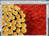 برنامج تعليم التصميم بالفوتوشوب سي اس 4 - شرح جميع الادوات والقوائم - Learn Photoshop
