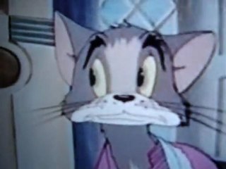 The instance of the most interasting topics or issues for my small person