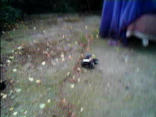 Mon Mini Mad Force dans le jardin