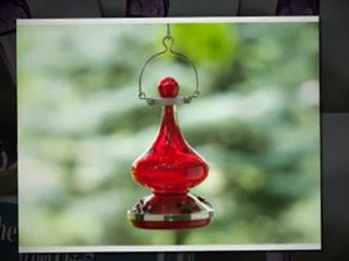 Hummingbird Feeders