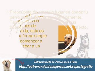 Las 7 Técnicas que todo el Mundo quiere ver