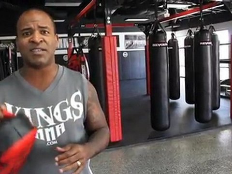 Revgear Mini T Micro Thai Pad - Combat Collection Fight Gear