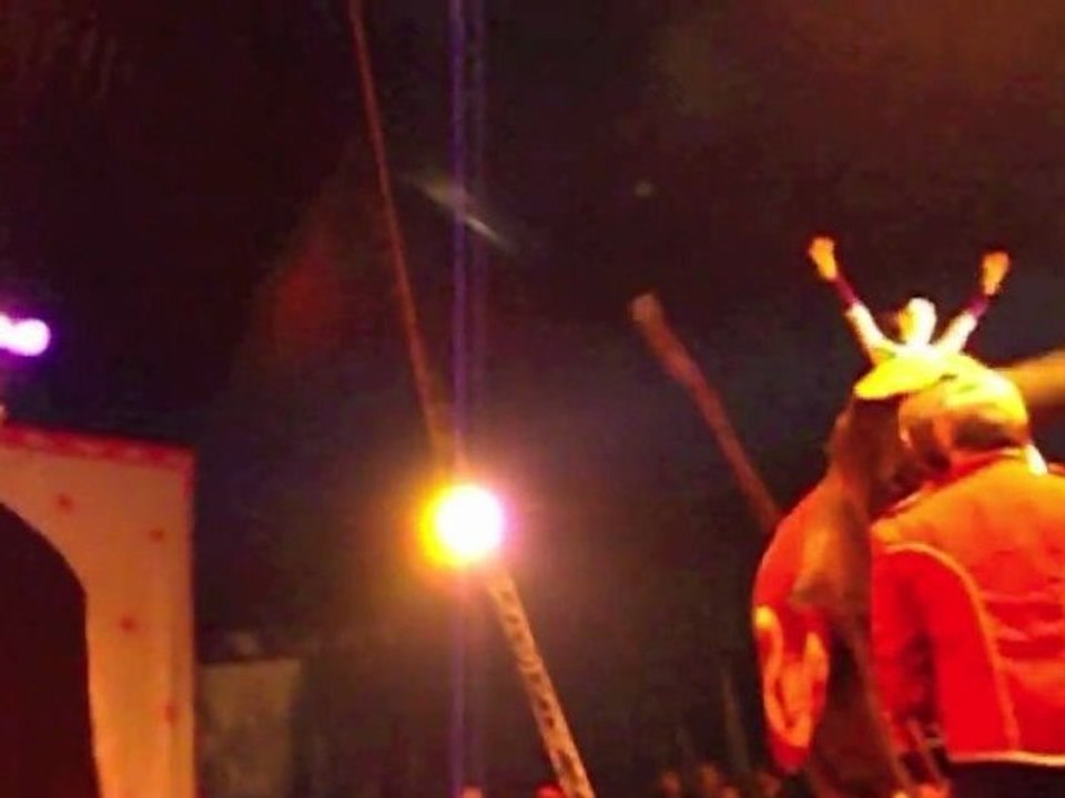 Samba, éléphant de cirque...