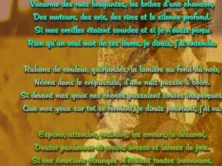 JE DIRAIS J'AI TOUT VECU (Fréderik MEY)