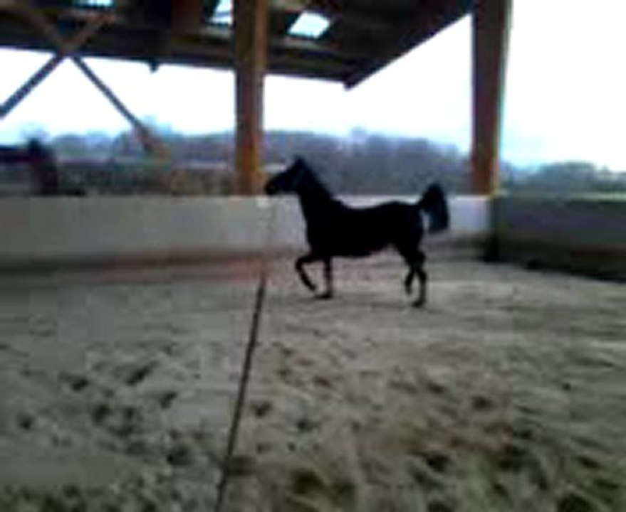 Vidéo0005