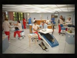 Cosmetic Dentists Calgary AB - (403)-800-3205