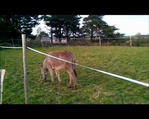 Clip sur le Développement Durable BTS SER