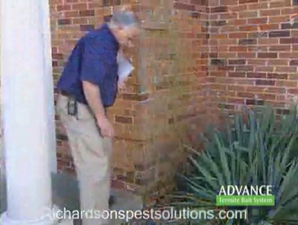 Richardson Pest Solutions, Pest Control St Louis, St Charles, Termite, Wentzville, Animal Control