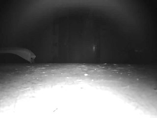 Güvenlik Kamerasına Takılan Esrarengiz Görüntü ve Sesler