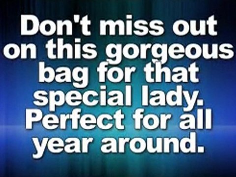 Coach Signature Outline Op Art Maggie Shoulder Bag Purse 16153 Khaki