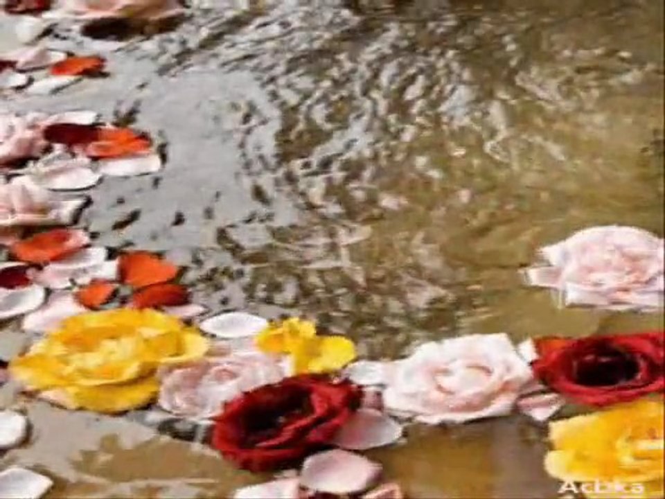 Aşkın Kime Yar Olur /Güfte; Niyazi Mısri