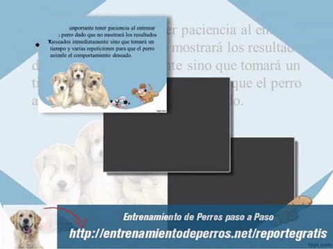 7 Trucos de Entrenamiento Canino: Adiestramiento para Perros