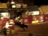 Rodéo Bull Riding