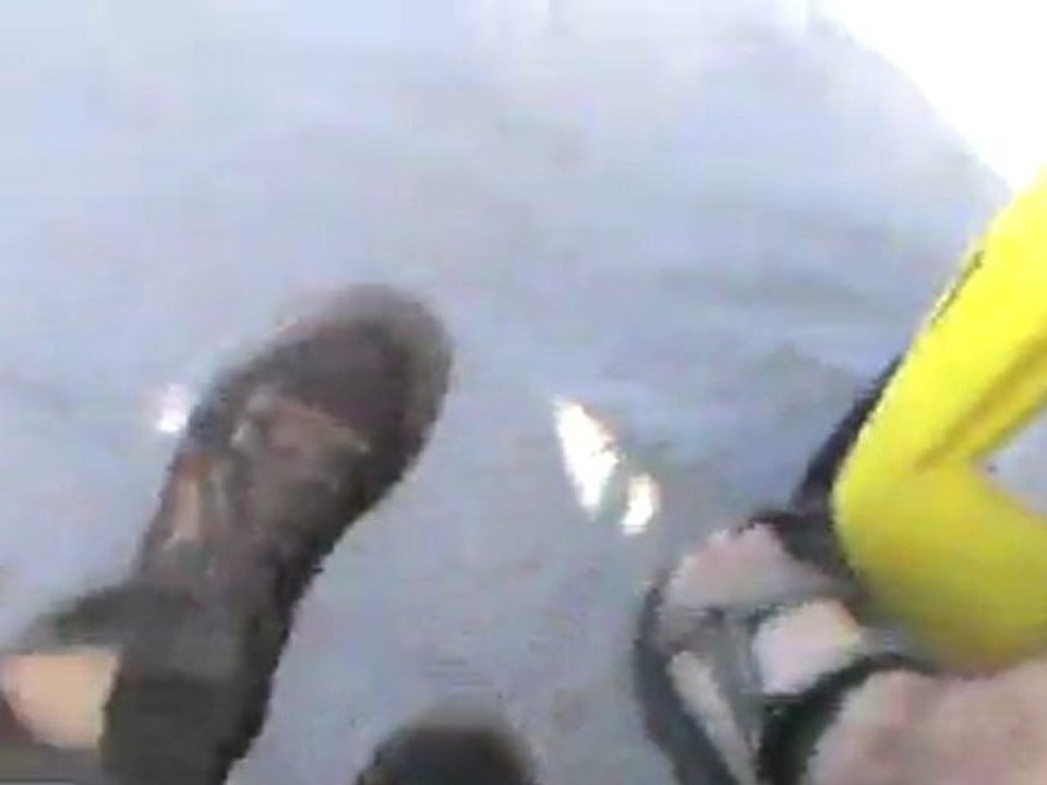 rodartes