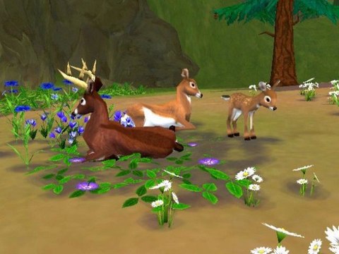 SimAnimals Wii Game ISO Download (USA) (NTSC-U)