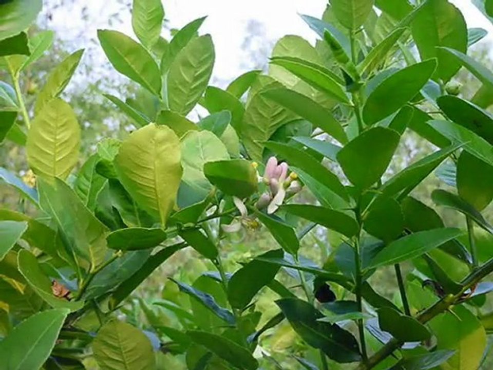 Ganbare Tohoku 2012  -Sun rises and Sun sets-