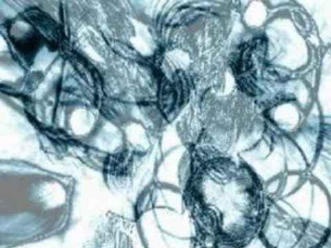 Micropoint Tu vas pas mourir