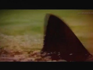 Agressions animales, Épisode [2] - 2 de 3