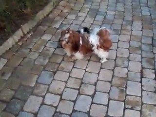 1ere sortie extérieure de GUS