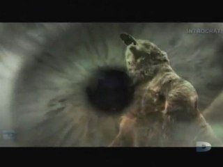 Agressions animales, Épisode [1] - 1 de 3