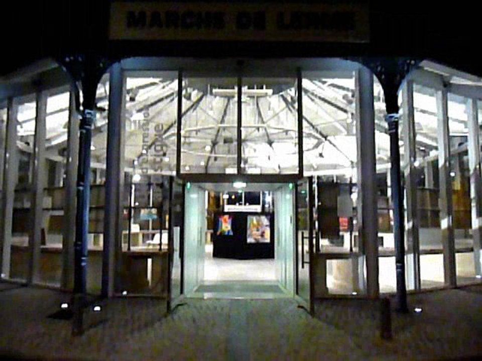 ARTISTE PEINTRE JF BRIVAUD_EXPO33