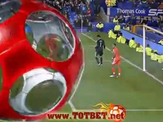 Эвертон - Суонси Сити (1-0) 21.12.2011