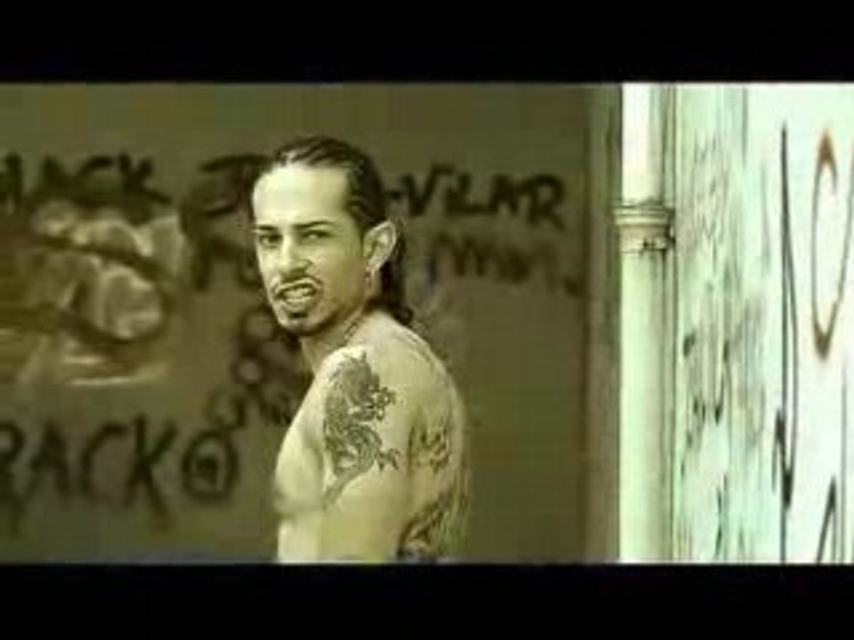 TOMBO / Chien de Guerre