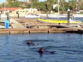 Bande-Annonce de nos vacances !!