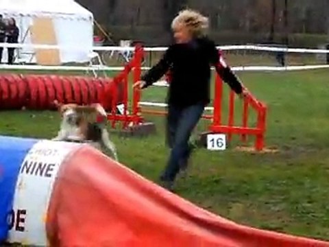 arthur du Canis club pessacais illacais la brede decembre 2011