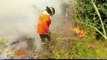Chili : Les incendies ont ravagé 40.000 hectares de végétation