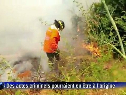 Chili : Les incendies ont ravagé 40.000 hectares de végétation
