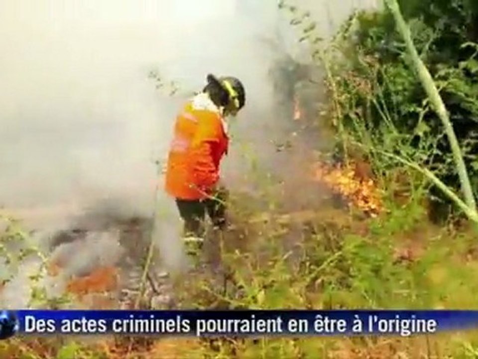 Chili : Les incendies ont ravagé 40.000 hectares de végétation