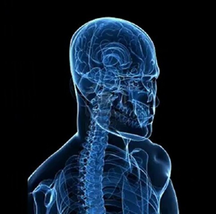 Skeleton  FUCKER-THIERRY LEPRINCE-TOBY EMERSON (Prohibited -18 years)