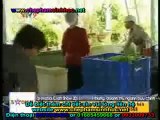 VTV9 Vườn Sinh Thái Trung Việt - Chế phẩm sinh học - phân vi sinh thế hệ mới