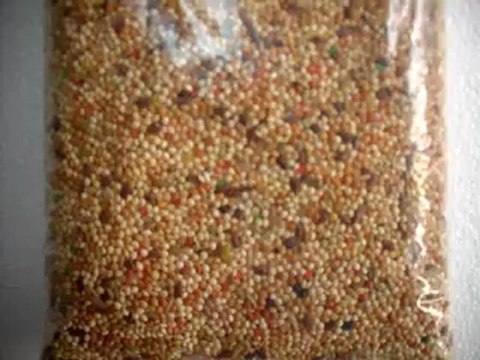 hobimmarket.com, kuş yemi, kuşyemi, kuş yemleri,kuş maması, kanarya yemi, kanarya yemleri, güvercin yemi, papağan yemi, papağan yemleri,muhabbet kuşu yemi,muhabbet kuşu