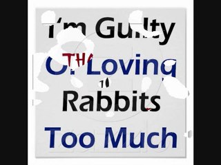 Watch this only if you really love rabbits