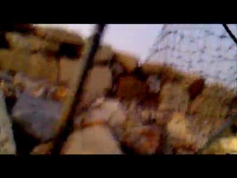 IMA PUGACHEV'S NEW TOPWATER SEA BASS FİSHİNG LİVE PART 2 sea bass 2012 levrek avı