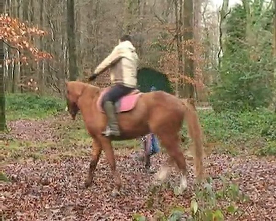 ULYSSE_DE_VIERVILLE