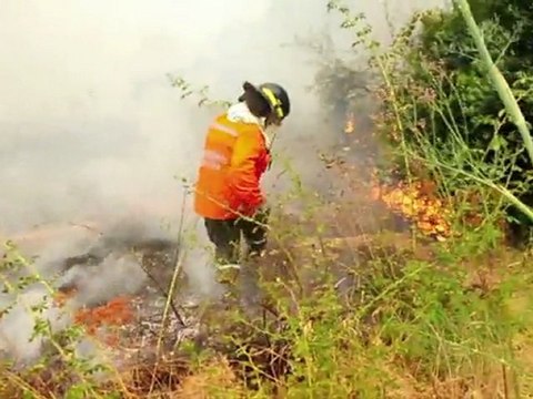 Le Journal vidéo du mercredi 4 janvier 2012, édition de 18H00.