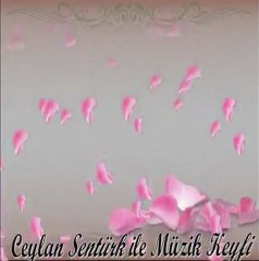 seni seviyorum ağır cümledir